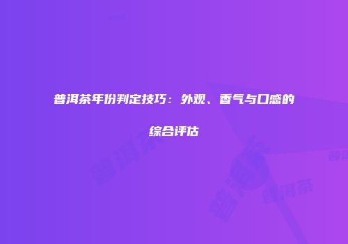 普洱茶年份判定技巧：外观、香气与口感的综合评估