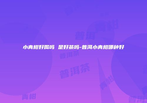小青柑好喝吗 是好茶吗-普洱小青柑哪种好