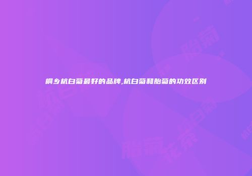 桐乡杭白菊最好的品牌,杭白菊和胎菊的功效区别