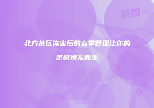 北方茶区冻害后的春季管理让你的茶园焕发新生