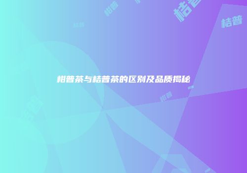 柑普茶与桔普茶的区别及品质揭秘