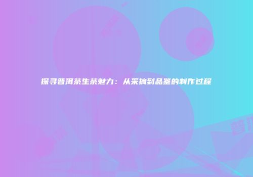 探寻普洱茶生茶魅力：从采摘到品鉴的制作过程