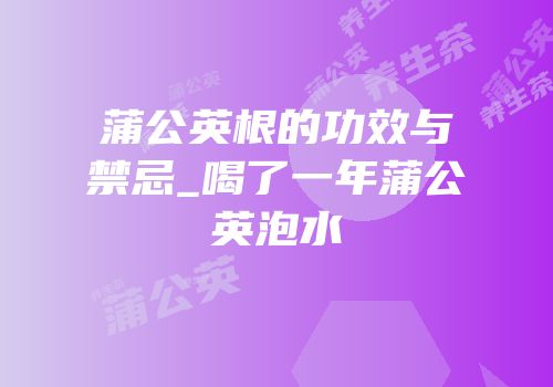 蒲公英根的功效与禁忌_喝了一年蒲公英泡水