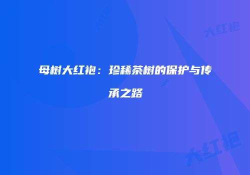 母树大红袍：珍稀茶树的保护与传承之路