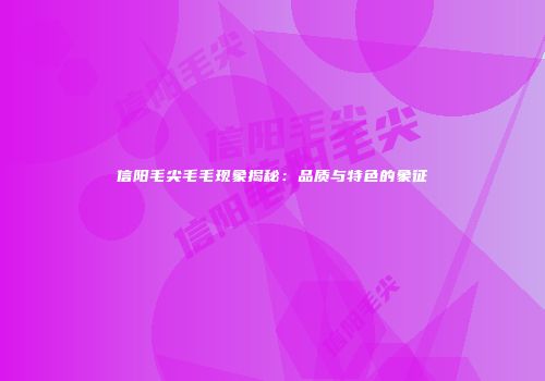信阳毛尖毛毛现象揭秘：品质与特色的象征