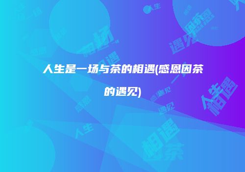人生是一场与茶的相遇(感恩因茶的遇见)