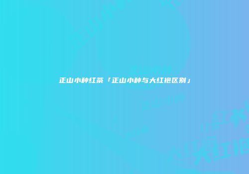 正山小种红茶「正山小种与大红袍区别」