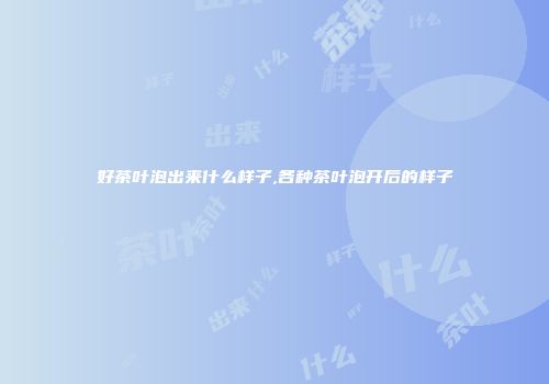 好茶叶泡出来什么样子,各种茶叶泡开后的样子