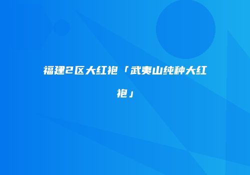 福建2区大红袍「武夷山纯种大红袍」