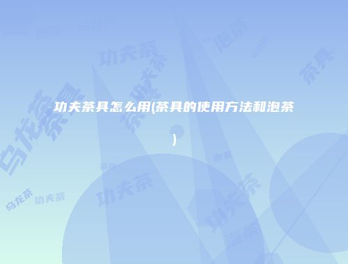 功夫茶具怎么用(茶具的使用方法和泡茶)