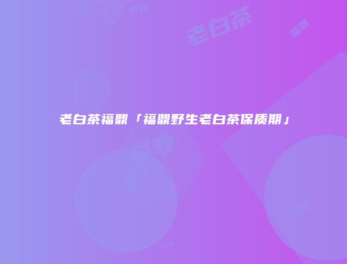 老白茶福鼎「福鼎野生老白茶保质期」