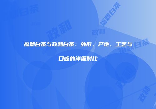 福鼎白茶与政和白茶：外形、产地、工艺与口感的详细对比
