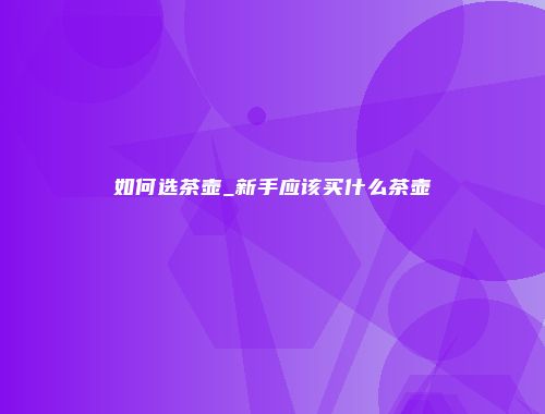 如何选茶壶_新手应该买什么茶壶