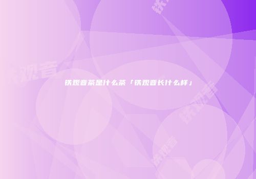 铁观音茶是什么茶「铁观音长什么样」