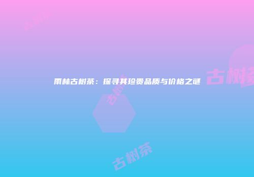 雨林古树茶：探寻其珍贵品质与价格之谜
