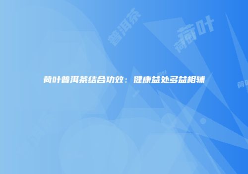 荷叶普洱茶结合功效：健康益处多益相辅
