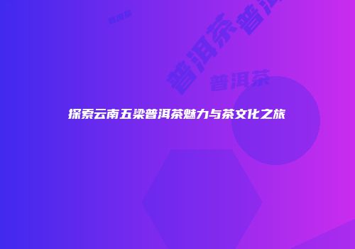 探索云南五梁普洱茶魅力与茶文化之旅