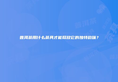 普洱茶用什么茶具才能释放它的独特韵味？