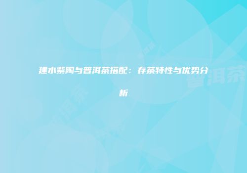 建水紫陶与普洱茶搭配：存茶特性与优势分析