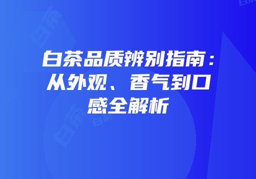 白茶品质辨别指南：从外观、香气到口感全解析
