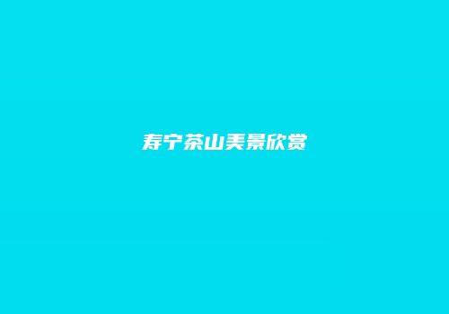 寿宁茶山美景欣赏