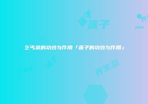 乞丐茶的功效与作用「莲子的功效与作用」