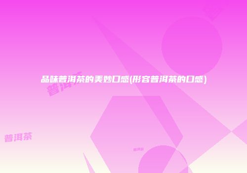 品味普洱茶的美妙口感(形容普洱茶的口感)