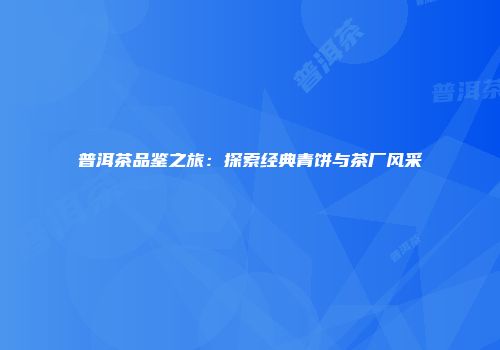 普洱茶品鉴之旅：探索经典青饼与茶厂风采