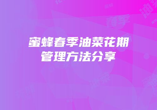 蜜蜂春季油菜花期管理方法分享
