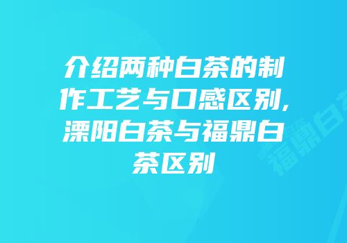 介绍两种白茶的制作工艺与口感区别,溧阳白茶与福鼎白茶区别