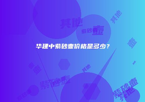 华建中紫砂壶价格是多少？