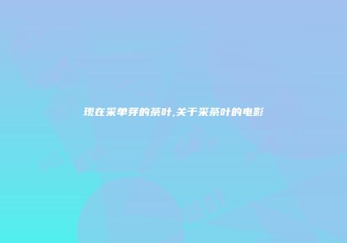 现在采单芽的茶叶,关于采茶叶的电影