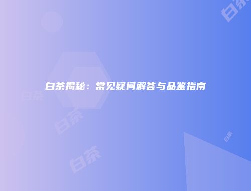 白茶揭秘：常见疑问解答与品鉴指南