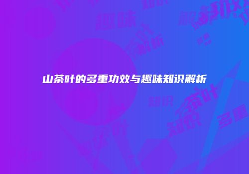 山茶叶的多重功效与趣味知识解析