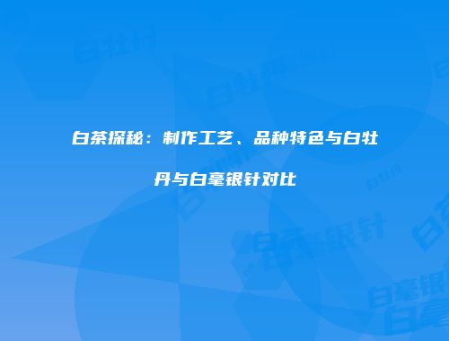 白茶探秘：制作工艺、品种特色与白牡丹与白毫银针对比
