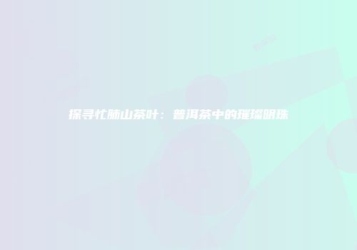 探寻忙肺山茶叶：普洱茶中的璀璨明珠