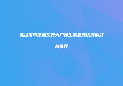 品拉佤布傣合系列大户赛生茶品质优良的好茶推荐
