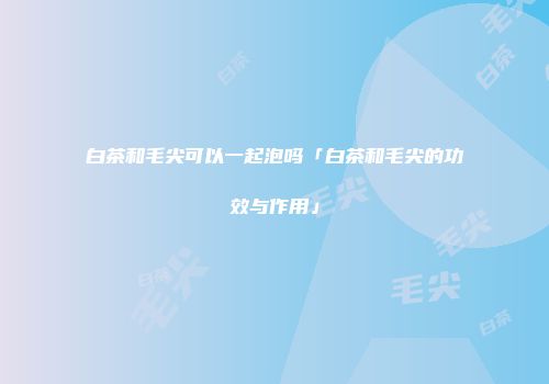 白茶和毛尖可以一起泡吗「白茶和毛尖的功效与作用」