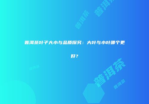 普洱茶叶子大小与品质探究：大叶与小叶哪个更好？