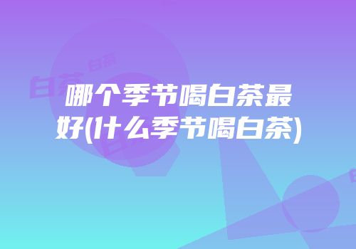 哪个季节喝白茶最好(什么季节喝白茶)
