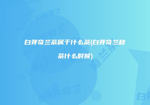 白芽奇兰茶属于什么茶(白芽奇兰秋茶什么时候)