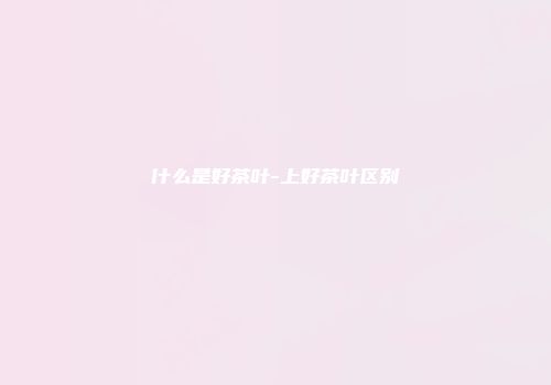 什么是好茶叶-上好茶叶区别