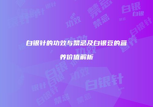 白银针的功效与禁忌及白银豆的营养价值解析