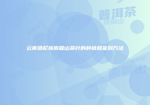 云南哈尼族南糯山茶叶的种植和鉴别方法