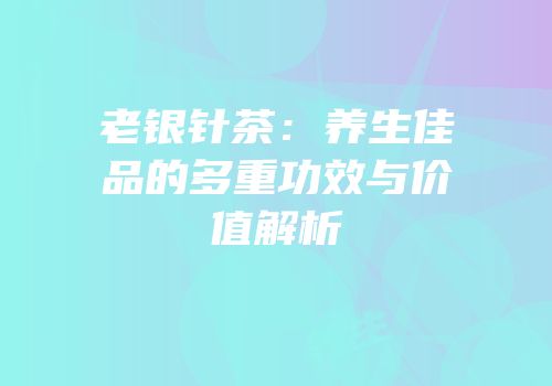 老银针茶：养生佳品的多重功效与价值解析