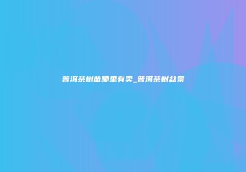 普洱茶树苗哪里有卖_普洱茶树盆景