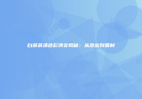 白茶茶汤色彩演变揭秘：从泡出到煮制