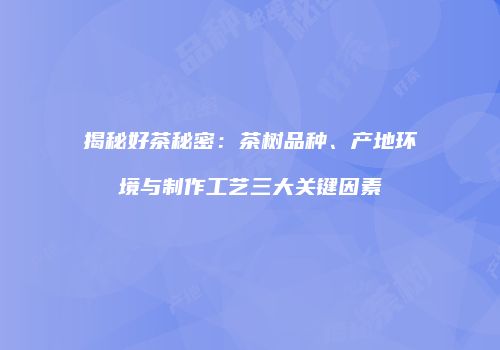 揭秘好茶秘密：茶树品种、产地环境与制作工艺三大关键因素