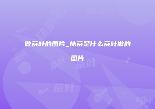 做茶叶的图片_抹茶是什么茶叶做的图片