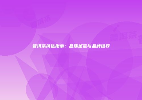 普洱茶挑选指南：品质鉴定与品牌推荐